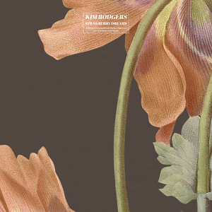 国产一级a毛一级a看免费视频乱
